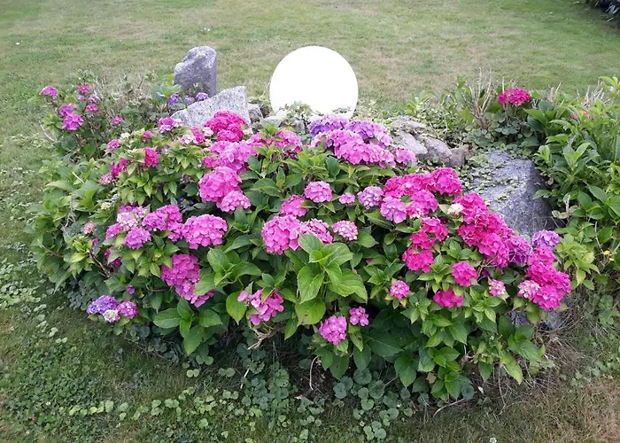 Vittebrook