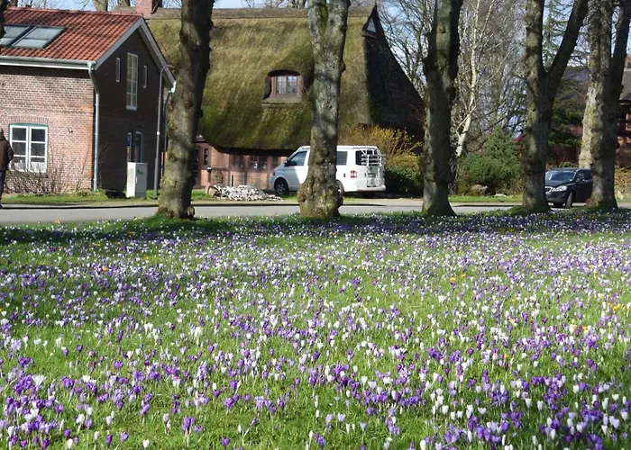 Vittebrook